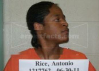 Antonio R Rice