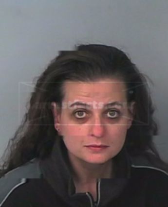 Lisa Anderson Cecere