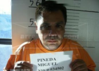 Miguel Pineda