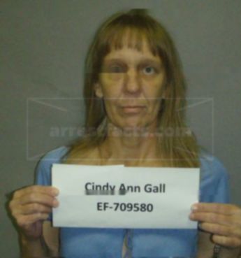 Cindy Ann Gall