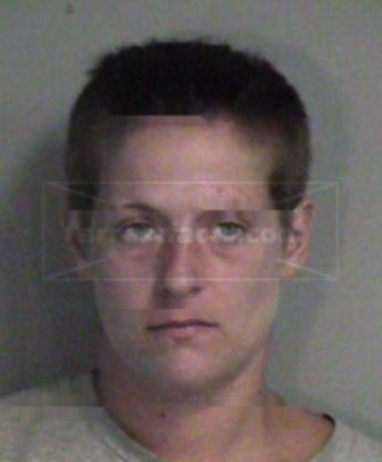 Stacey L Cook