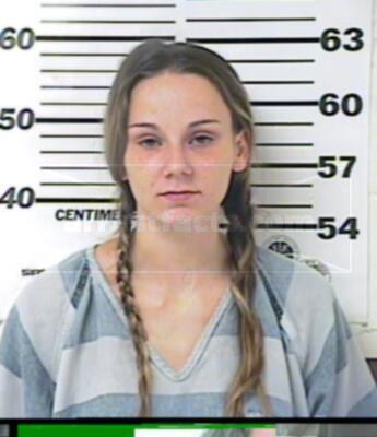 Michelle Janene Larson