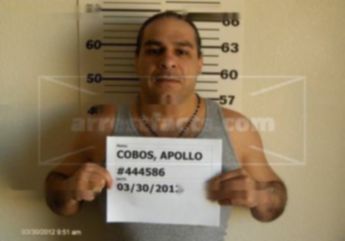 Apollo D Cobos