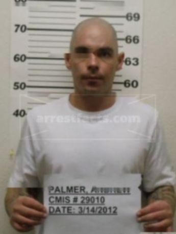 Andrew Gene Palmer