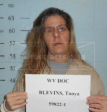 Tonya Lynn Blevins