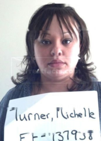Michelle N Turner