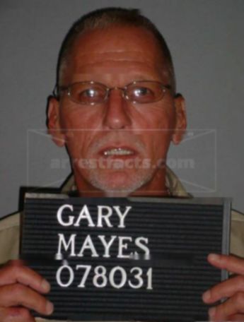 Gary L Mayes