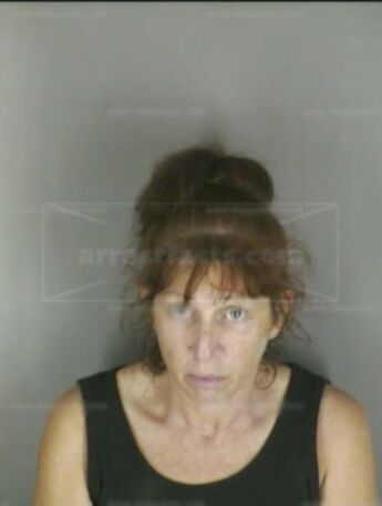 Barbara Ellen Marciniak of Florida, arrests, mugshots, and charges ...