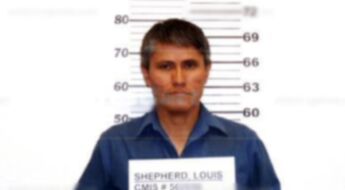 Louis Joe Shepherd