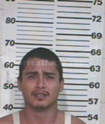 David Mitchell Villegas Medina