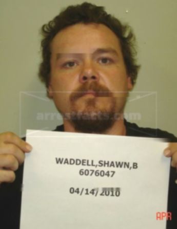 Shawn B Waddell