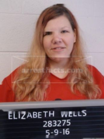 Elizabeth Michelle Wells