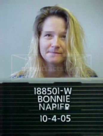 Bonnie Renee Napier