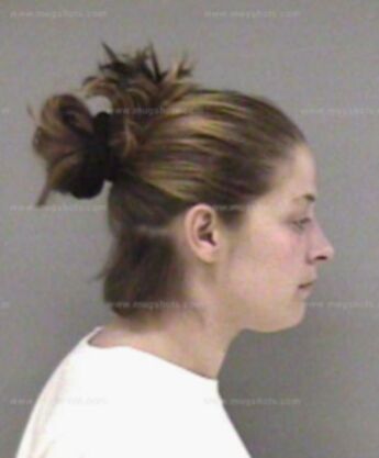 Stacey L Cook