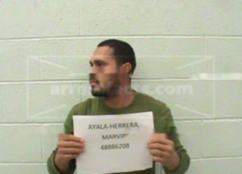 Marvin Ayala-Herrera