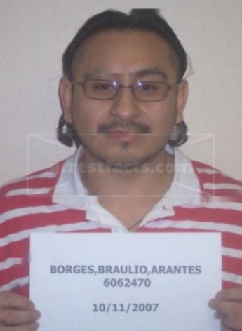 Braulio Arantes Borges