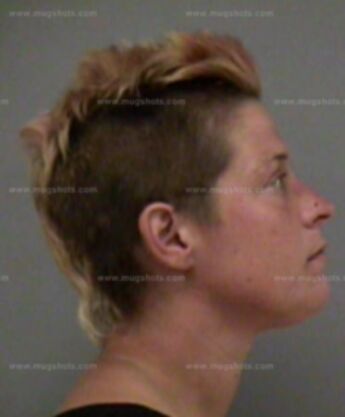 Stacey L Cook
