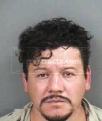 Gerardo G Sanchez