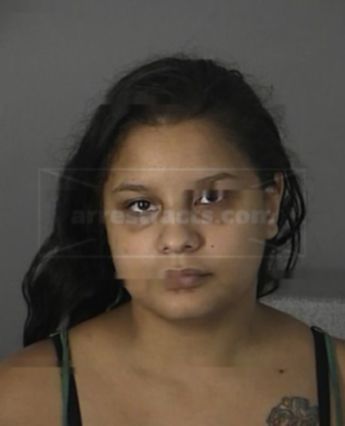 Erika Soto of Florida, arrests, mugshots, and charges Updated 2024
