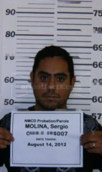 Sergio Molina