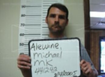 Michael J Alewine