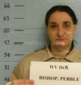 Pebble L Bishop