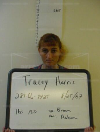 Tracey Haas