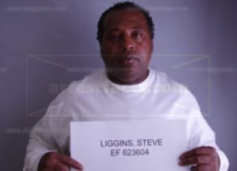 Steve Liggins