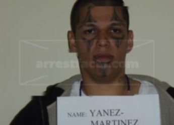 Ricardo Daniel Yanez-Martinez