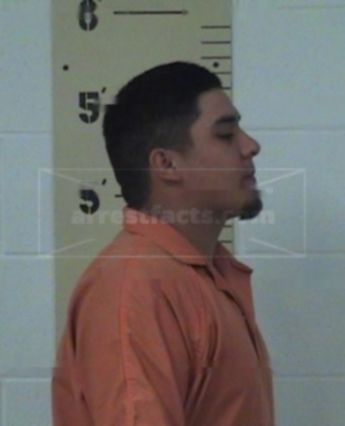 David O Ramirez