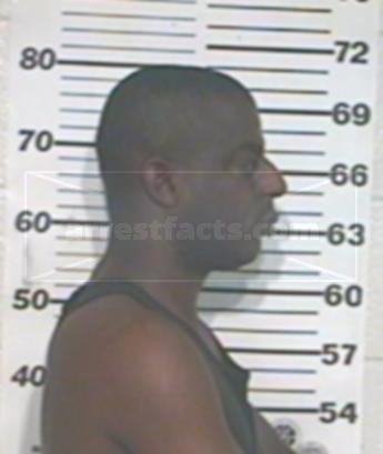 Michael Lee Jr Laster Brown