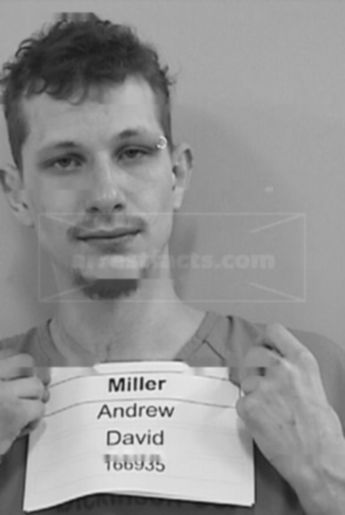 Andrew David Miller