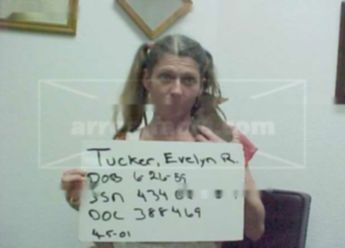 Evelyn R Tucker