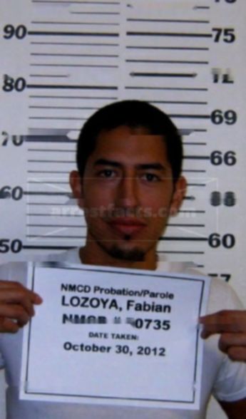 Fabian Caro Lozoya