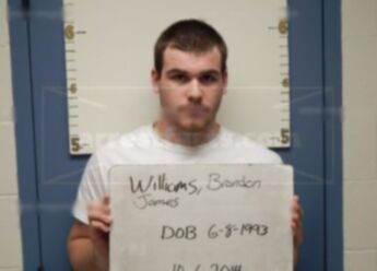 Brandon James Williams