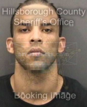 Mishael Elisha Wilson