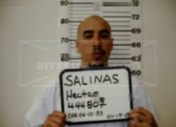 Hector Raul Salinas