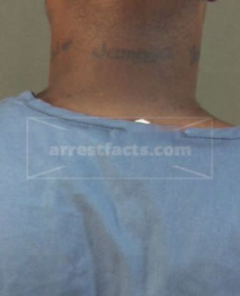 Terranian Somone Rodman