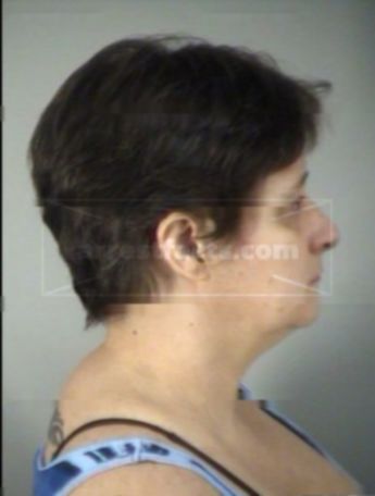 Meredith Ellen Carr