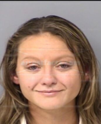 Ginjer Michelle Ullman