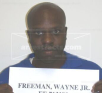 Wayne Freeman Jr.