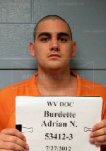 Adrian N Burdette