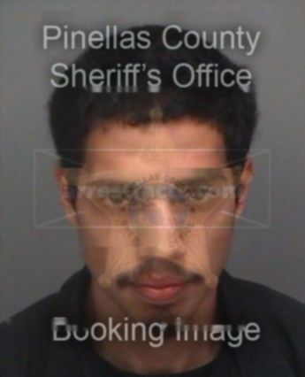 Stephen Paul Piatt