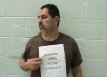 Hector Alvarado-Perez