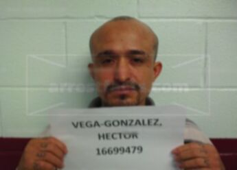 Hector Vega-Gonzalez