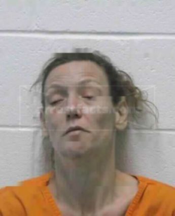 Susan Rae White of West Virginia, arrests, mugshots, and charges ...