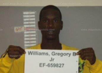 Gregory Bernard Williams