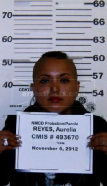 Aurelia Lorena Reyes