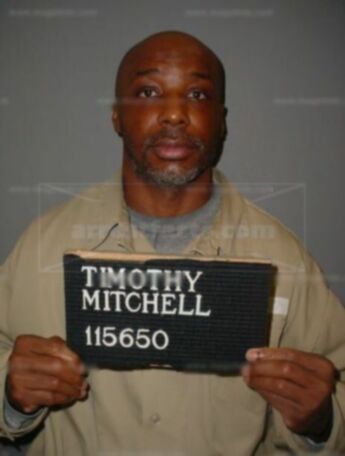 Timothy T Mitchell