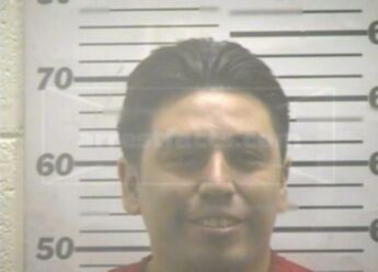 Nelson J Flores-Gallegos